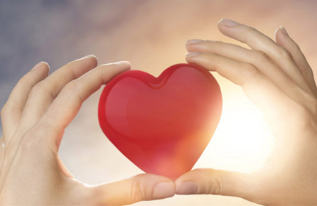 ������Ե_��ҳ�������